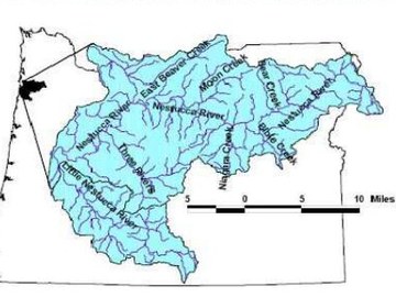Upper Nestucca River stream network locator map from the study cover.